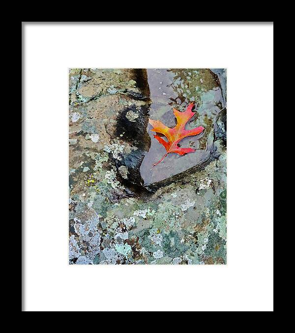 Autumn Framed Print featuring the photograph Autumn Colors by Sarah Lilja