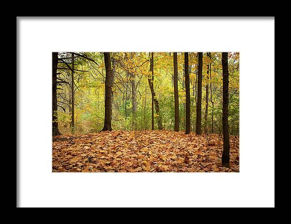 Autumn Framed Print featuring the photograph Autumn Delight by Makiko Ishihara