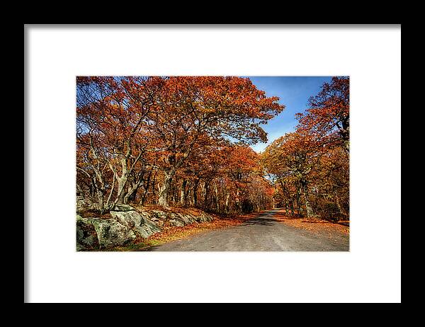 Fall Framed Print featuring the photograph Autumn Dreams 1 by Lara Ellis