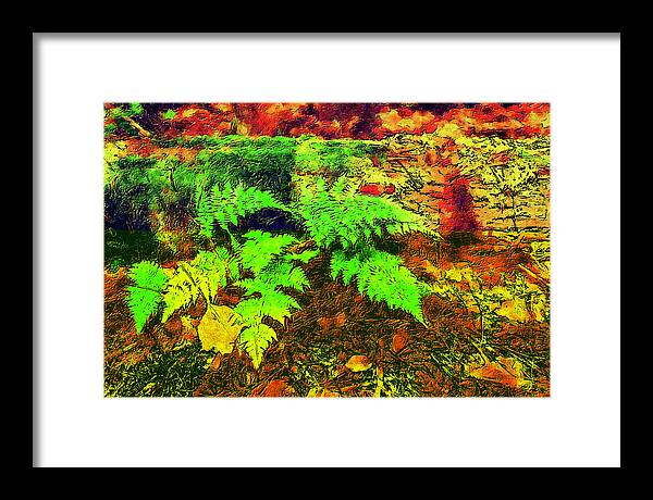 Autumn Framed Print featuring the digital art Autumn Fern and Mossy Log fx by Dan Carmichael