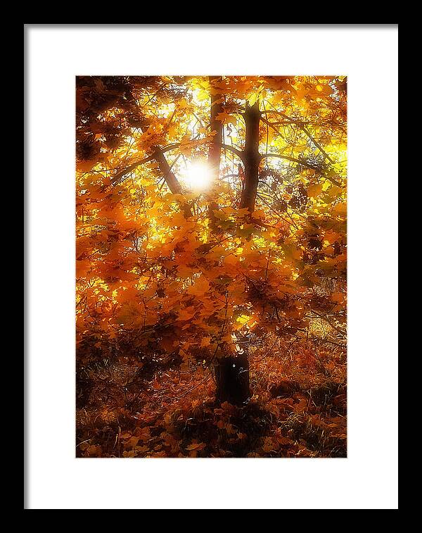 Autumn Framed Print featuring the photograph Autumn Fire by Linda McRae