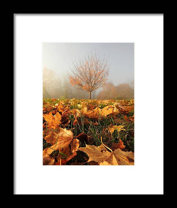 Autumn Framed Print featuring the photograph Autumn Fog by Dark Whimsy