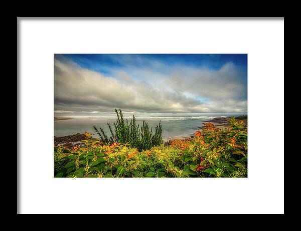 Marginal Way Framed Print featuring the photograph Autumn Foliage on Marginal Way by Penny Polakoff