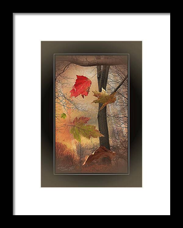 Leaves Framed Print featuring the photograph Autumn Free Fall by Rene Crystal