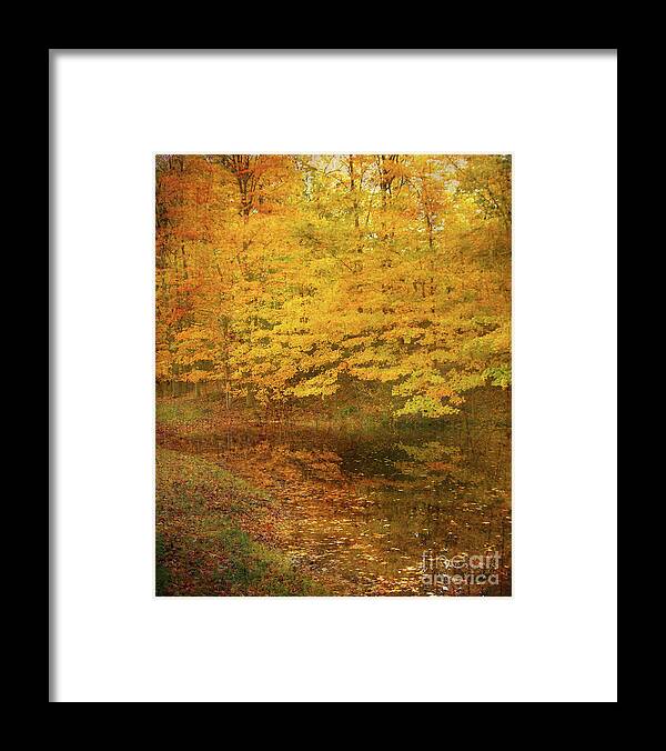 Autumn Leaves Framed Print featuring the photograph Autumn Impressions by Kathi Mirto
