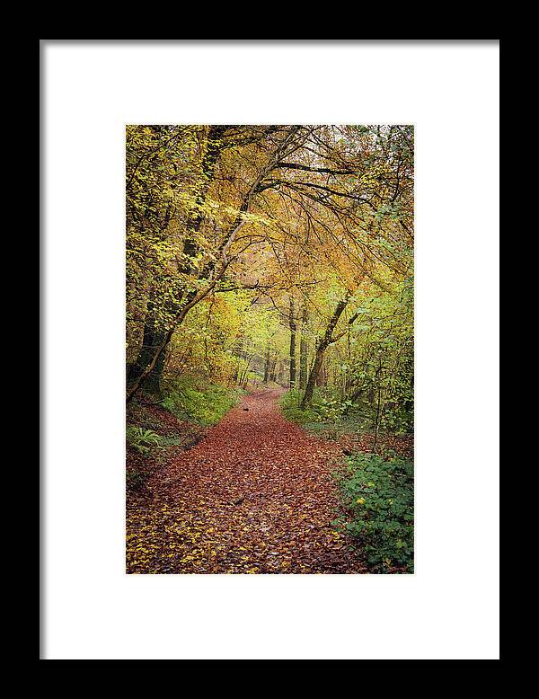 Cardiff Framed Print featuring the photograph Autumn, in a nutshell by Gavin Lewis