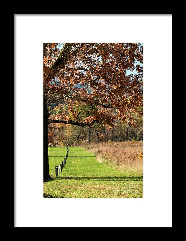 Seasons Framed Print featuring the photograph Autumn in Cades Cove by Nicki McManus