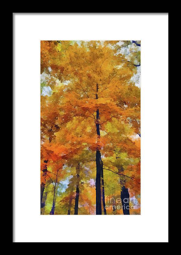 Landscape Framed Print featuring the photograph Autumn In Full Bloom by Cedric Hampton