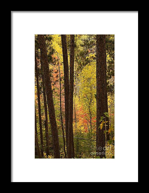 Landscape Framed Print featuring the photograph Autumn in Hiding by Larry Ricker