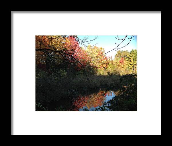 Salem Framed Print featuring the photograph Autumn in Salem by Roxy Rich