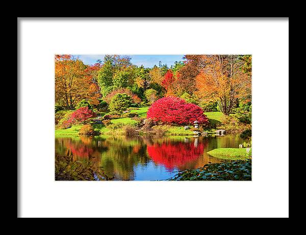 Garden Framed Print featuring the photograph Autumn in the Asticou Azalea Gardens, aine by Ann Moore
