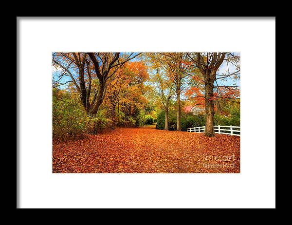 Autumn Framed Print featuring the photograph Autumn in the Country by Shelia Hunt