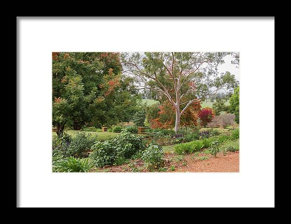Autumn Framed Print featuring the photograph Autumn in the Garden 7 by Elaine Teague