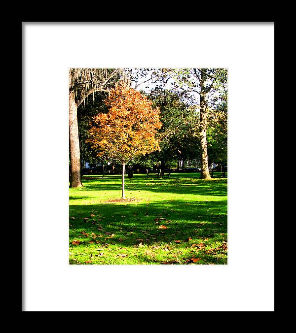 Forsyth Park Framed Print featuring the photograph Autumn in the Park II by Theresa Fairchild