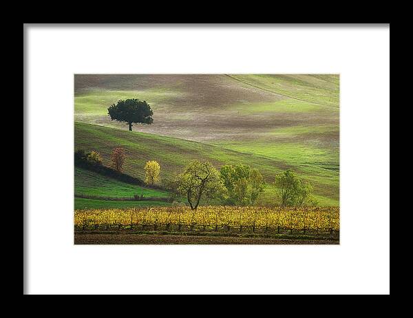 Autumn Framed Print featuring the photograph Autumn in Tuscany, trees and vineyard. Castellina in Chianti, It by Stefano Orazzini