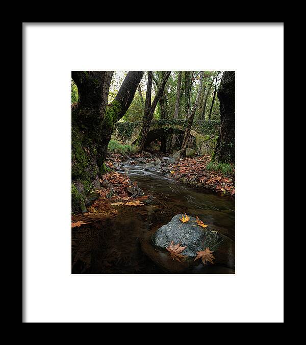 Autumn Framed Print featuring the photograph Autumn landscape with river flowing below a stoned ancient bridge by Michalakis Ppalis