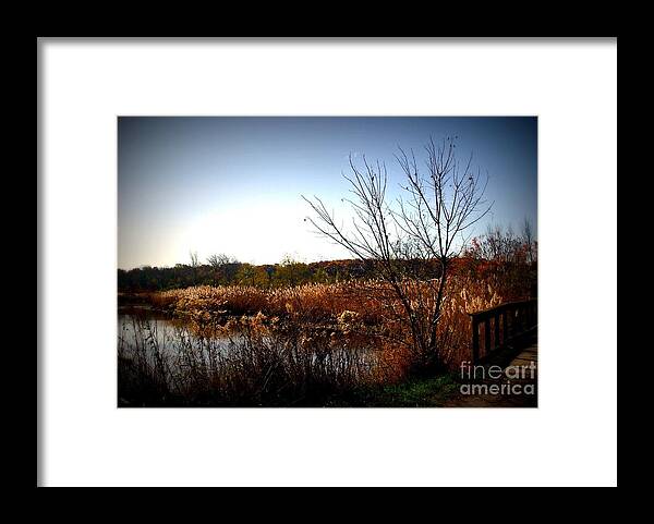 Nature Framed Print featuring the photograph Autumn Landscape Wetlands Bridge by Frank J Casella