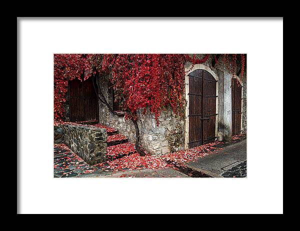 Autumn Framed Print featuring the photograph Autumn landscape with red plants on a hous wall by Michalakis Ppalis