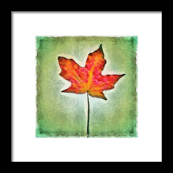 Leaf Framed Print featuring the mixed media Autumn Leaf by Christopher Reed