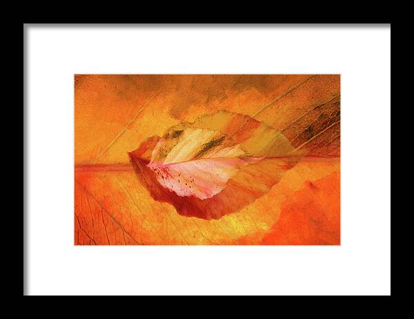 Photography Framed Print featuring the digital art Autumn Leaves Design by Terry Davis