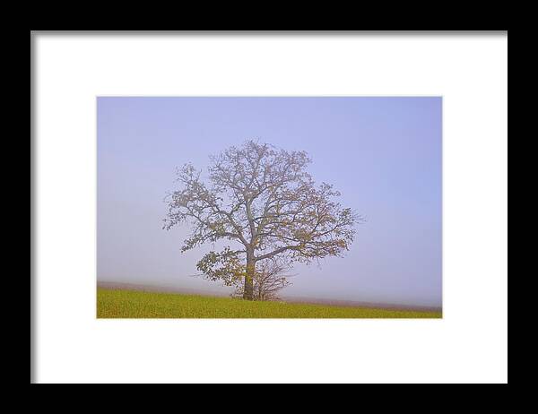 Landscape Framed Print featuring the photograph Autumn mist by Karine GADRE