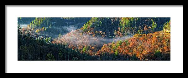 Autumn Framed Print featuring the photograph Autumn Morning Mist by Monroe Payne