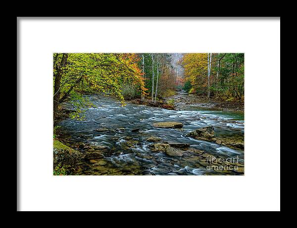 Elk River Framed Print featuring the photograph Autumn Morning on Back Fork by Thomas R Fletcher