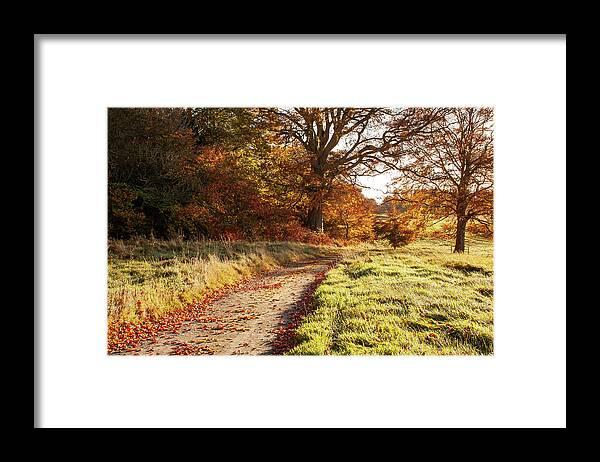 Maynooth Framed Print featuring the photograph Autumn Morning Pathway - Conty Kildare, Ireland by Barry O Carroll