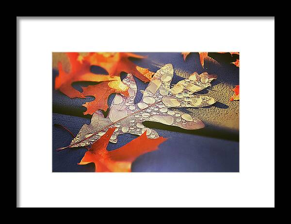 Autumn Mornings And Dewy Leaves Framed Print featuring the photograph Autumn Mornings and Dewy Leaves by Christina McGoran