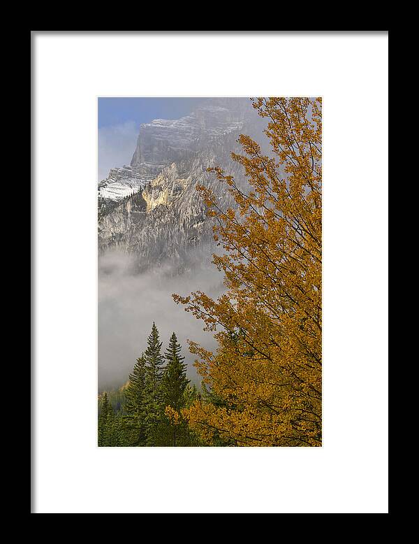 Mountain Framed Print featuring the photograph Autumn Mountain Light 2 by Stephen Vecchiotti