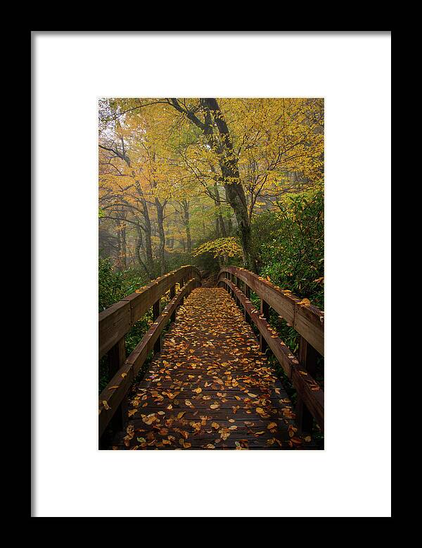 Blue Ridge Parkway Framed Print featuring the photograph Autumn on the Trail by Robert J Wagner