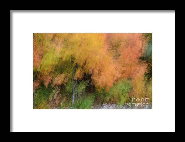 Autumn Orange Colors Framed Print featuring the photograph Autumn Orange Colors by Tamara Becker