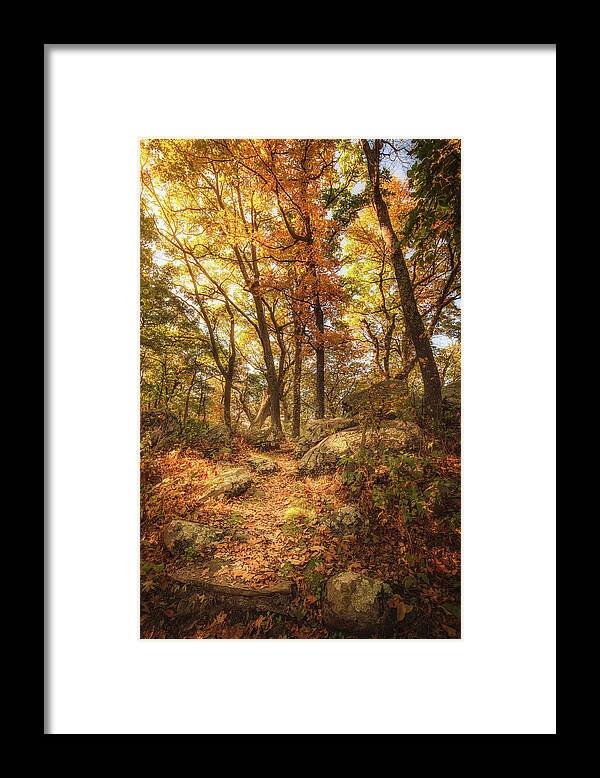 Autumn Framed Print featuring the photograph Autumn Pathway by Tricia Louque