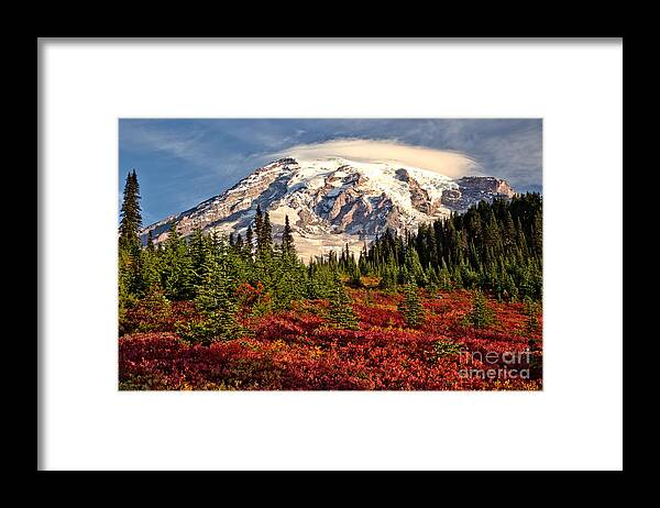 Mt Framed Print featuring the photograph Autumn Rainbow Of Color At Paradise by Adam Jewell
