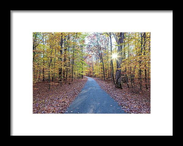 Autumn Framed Print featuring the photograph Autumn Road in New Jersey by Amelia Pearn