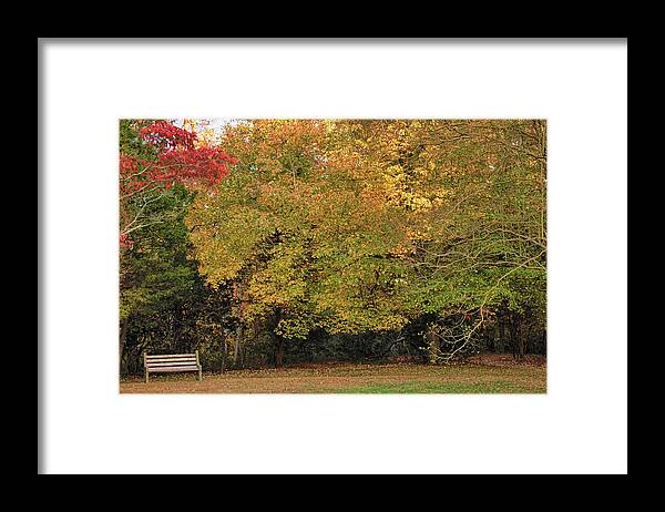 Autumn Framed Print featuring the photograph Autumn Serenity Awaits in the Park by Ola Allen
