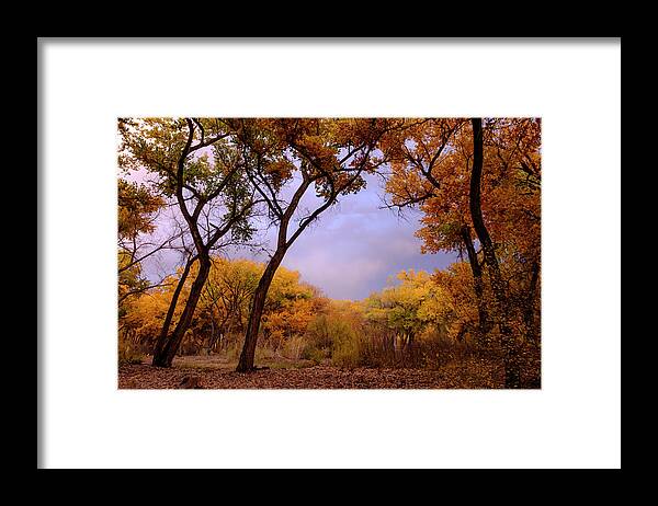 Scenic Framed Print featuring the photograph Autumn Splendor by Mary Lee Dereske
