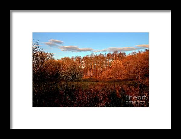 Nature Framed Print featuring the photograph Autumn splendour by Stephen Melia