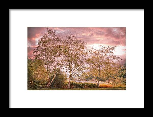 Mountains Framed Print featuring the photograph Autumn Trees on the Edge of the Lake by Debra and Dave Vanderlaan