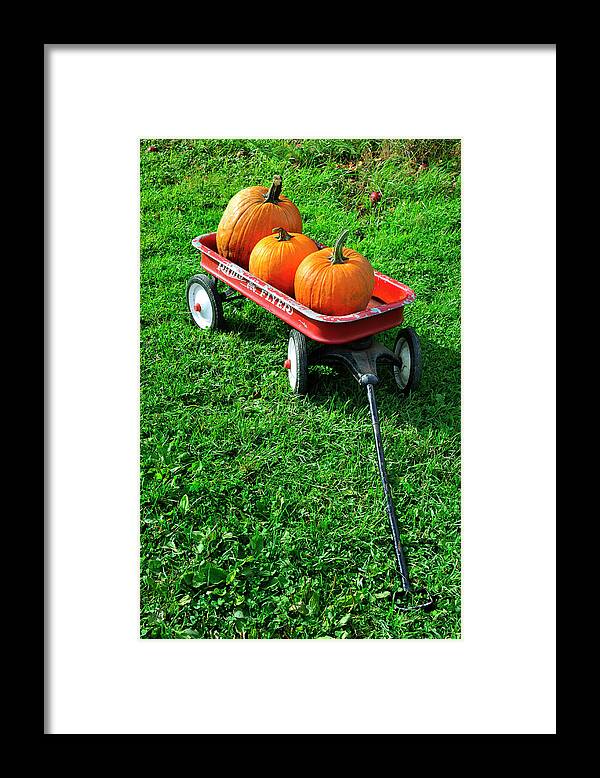 Little Red Wagon Framed Print featuring the photograph Autumn Wagon by Luke Moore