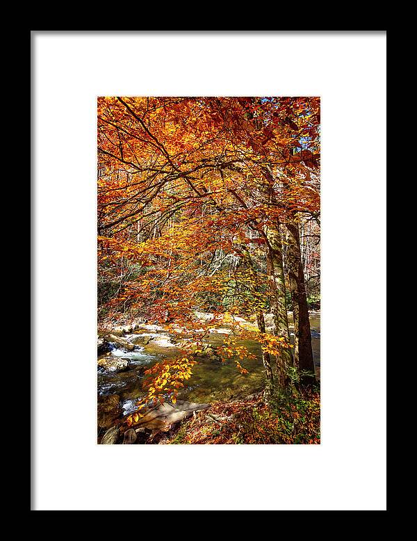 Carolina Framed Print featuring the photograph Autumn's Fire along the Creek by Debra and Dave Vanderlaan