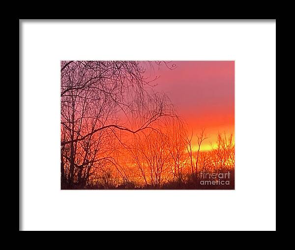  Framed Print featuring the photograph BackyardSkyShow by Mary Kobet