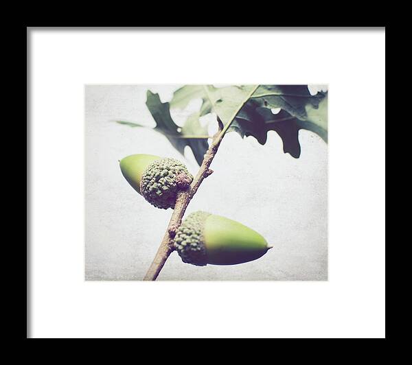 Acorn Framed Print featuring the photograph Balance by Lupen Grainne