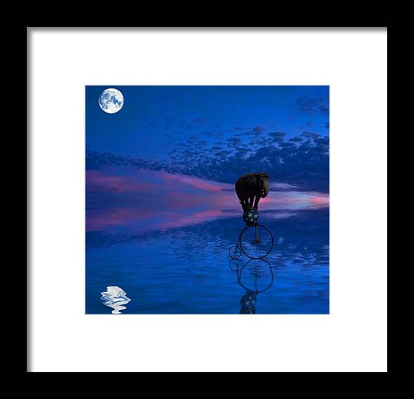 Sports Ball Framed Print featuring the photograph Balancing act by By Eve Livesey