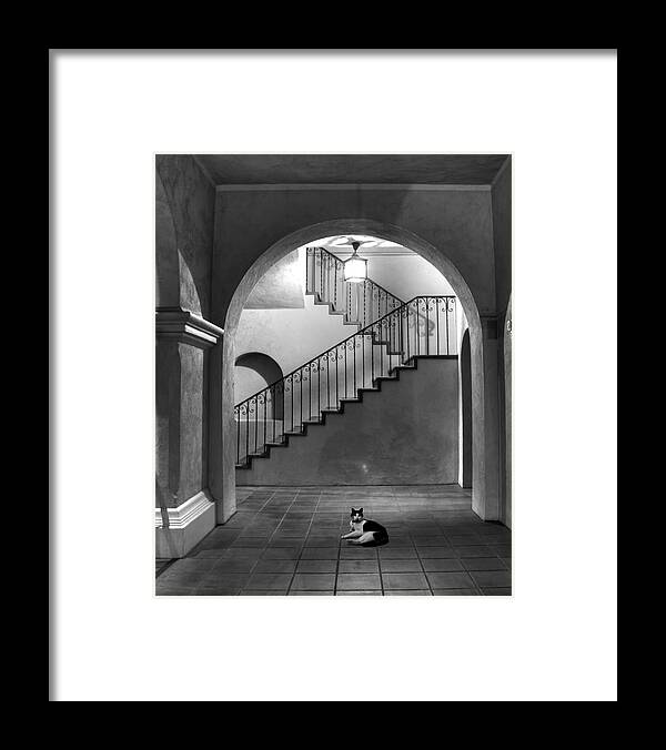 Balboa Park Framed Print featuring the photograph Balboa Park Stairs by Dusty Wynne