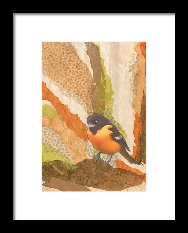 Bird Framed Print featuring the mixed media Balltimore Oriole Collage by Jessica Levant