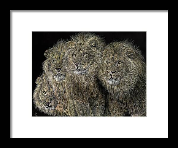 Lions Framed Print featuring the painting Band Of Brothers by Mark Ray