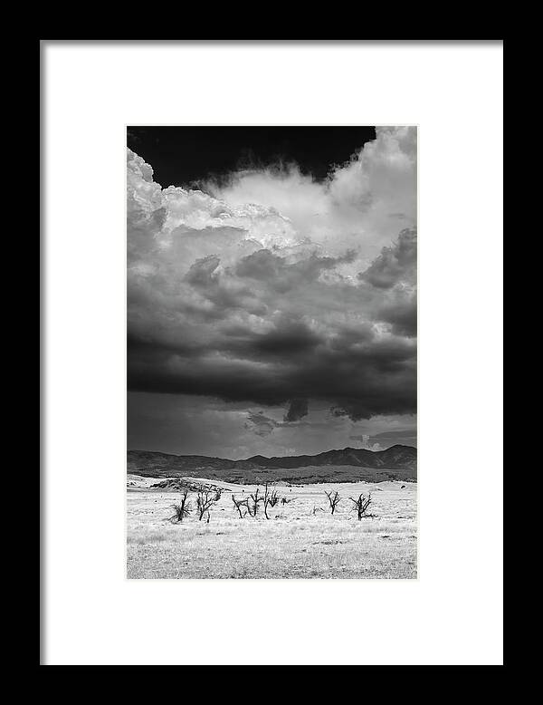 San Diego Framed Print featuring the photograph Bare Trees and Monsoon Clouds Near Ranchita by William Dunigan