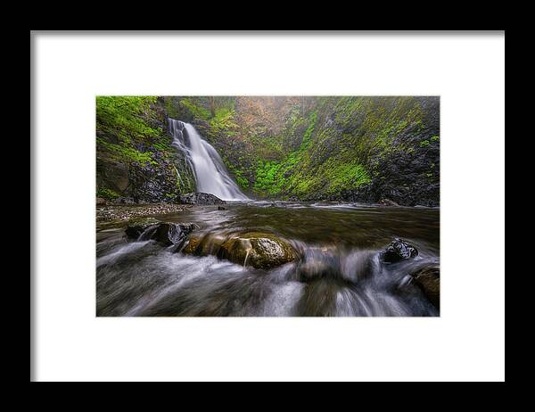 Water Framed Print featuring the photograph Barking up a Creek by Darren White