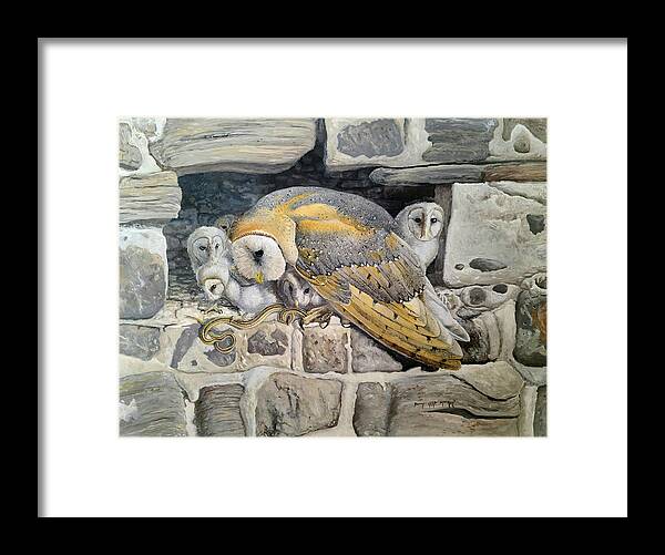 Barn Owl Framed Print featuring the painting Barn Owl Family by Barry Kent MacKay